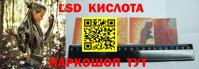 прущие грибы Бийск