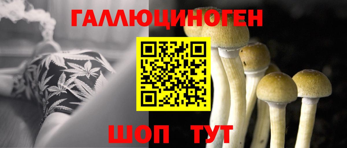 Десногорск  Галлюциногенные грибы мицелий  Псилоцибиновые грибы GOLDEN TEACHER  Вход с VPN 